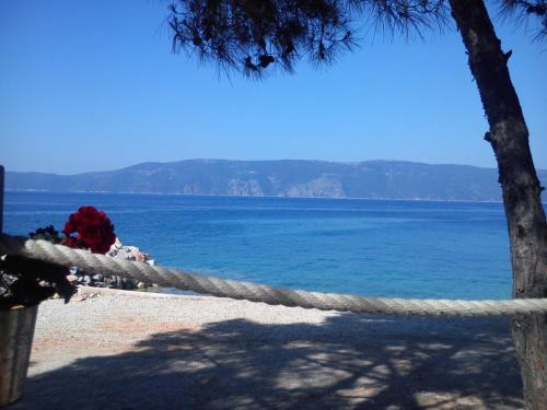 Pinezici Apartment | Apartments Renata