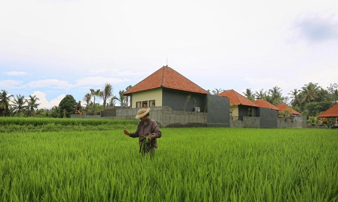 Lodtunduh Villa | Asri Sari Ubud Resort