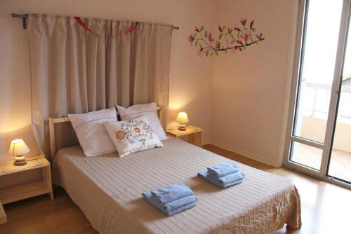 Le Puy-en-Velay Apartment | Au Lion d'Or