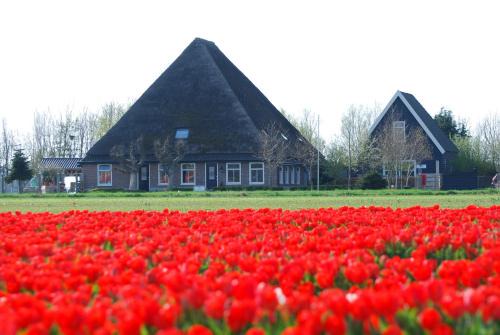 Sint Maartensvlotbrug Bed & Breakfast | B&B Idylle aan Zee incl 2 Wellnessstudios