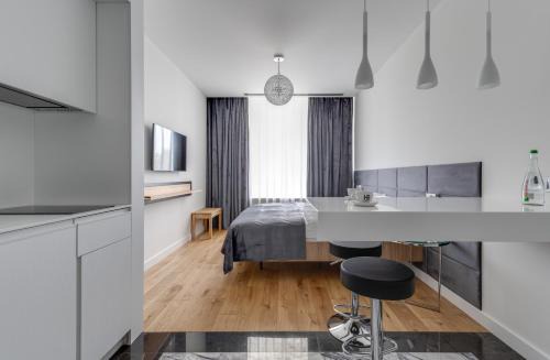 Pechers'kyi District Apartment | BASIS APARTMENTS - Adults Only