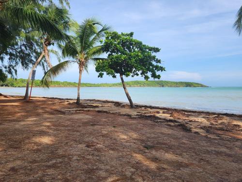 Sardinera House | Beautiful Caribbean Waters - 7 Seas Beach, El Yunque, Icacos Island