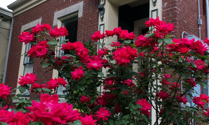 Butchertown House | Beautiful home in the heart of Butchertown! Close to everything!