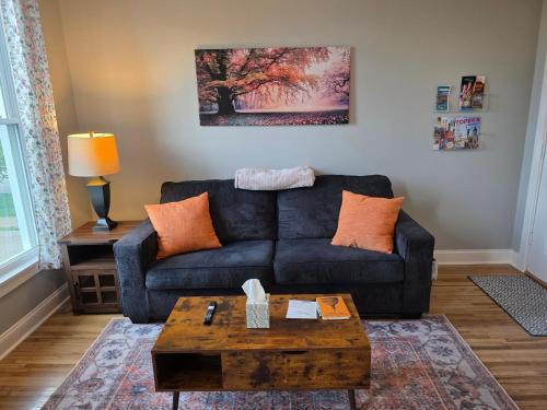 Downtown Apartment | Beautifully Renovated Downtown 1Bed 1 Bath Apt, Pet Friendly