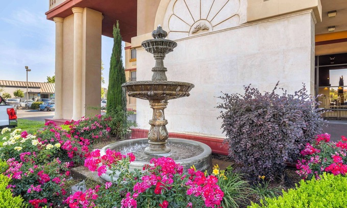 Roseville Hotel | Best Western Plus Orchid Hotel & Suites