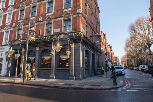 Earl's Court Hotel | Blackbird