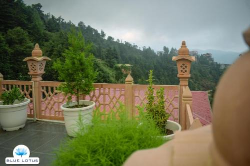 Naukuchiyatal Hotel | Blue Lotus Resort