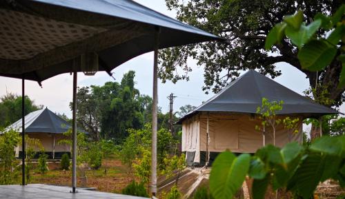 Panna Resort | Bundeli Camps and Resorts, Panna