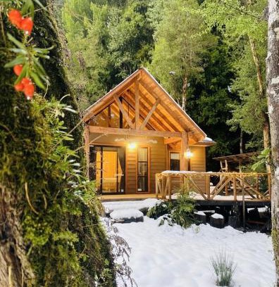 Panguipulli House | Cabañas Alto del Bosque