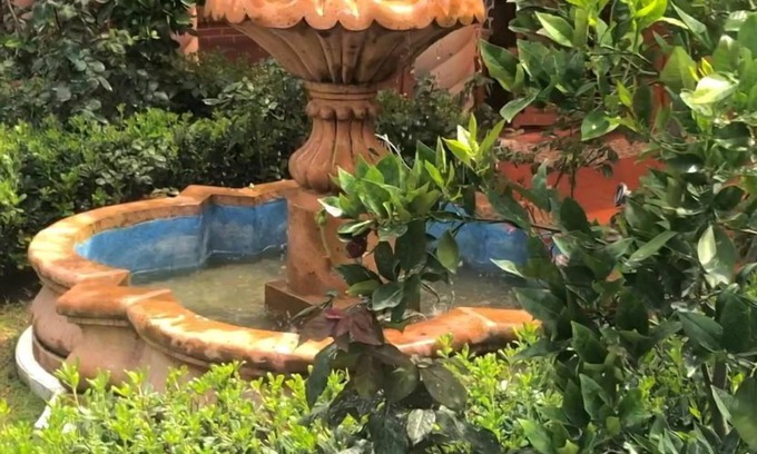 Atlautla Hotel | Cabañas Elsa María