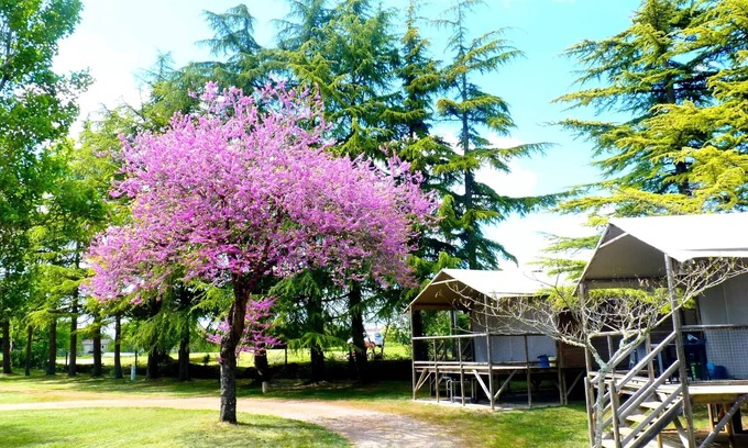 Bouvet Island House | Campsite Quercy Vacances* - 3-room cabin on stilts for 4/6 people