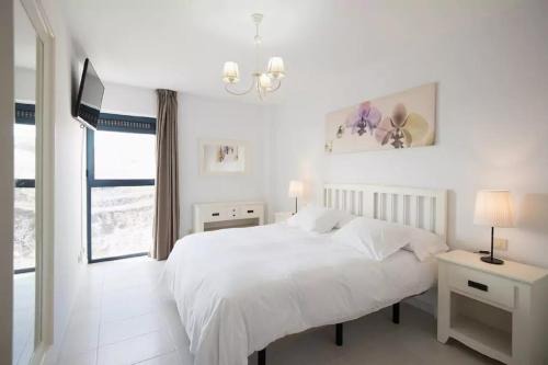 Bahia Calma Apartment | Cardon Big Calm 10