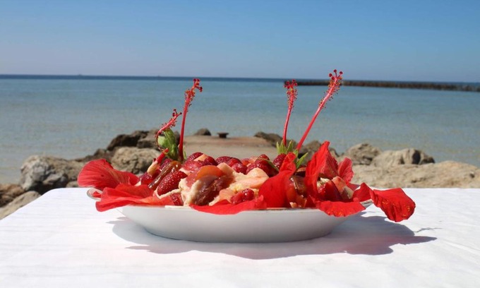 Sidi Fredj Bed & Breakfast | Casa Mia