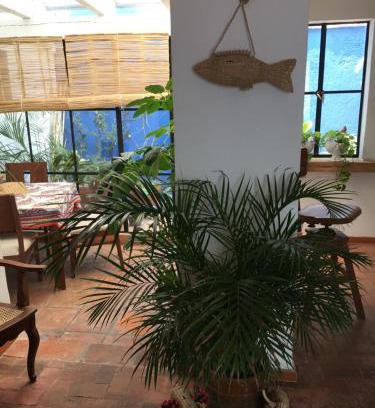 Del Carmen Apartment | Casa Molcajete