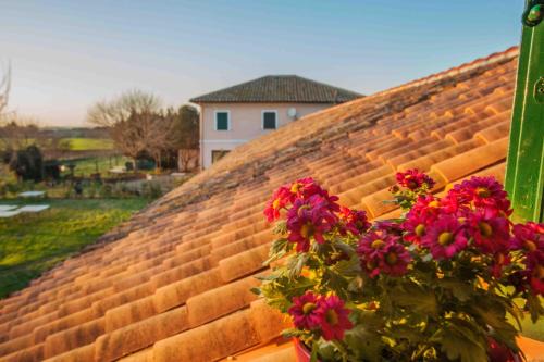Capannelle House | Casale Acquasanta