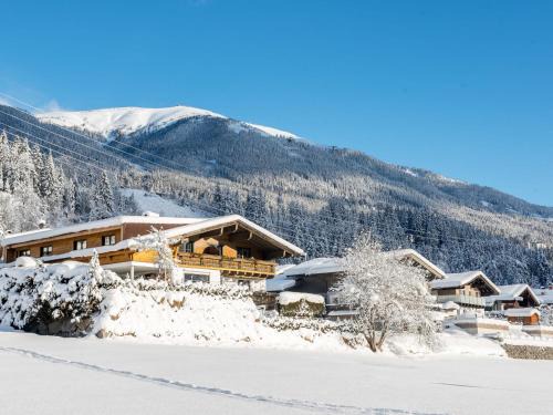 Schonbach Apartment | Chalet in Neukirchen with Mountain Views