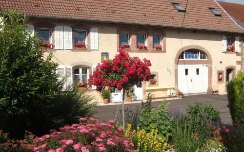 Niderviller Bed & Breakfast | Chambre d'hôte au Grenier d'Abondance