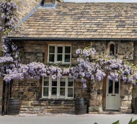 Cawthorne House | Chantry House