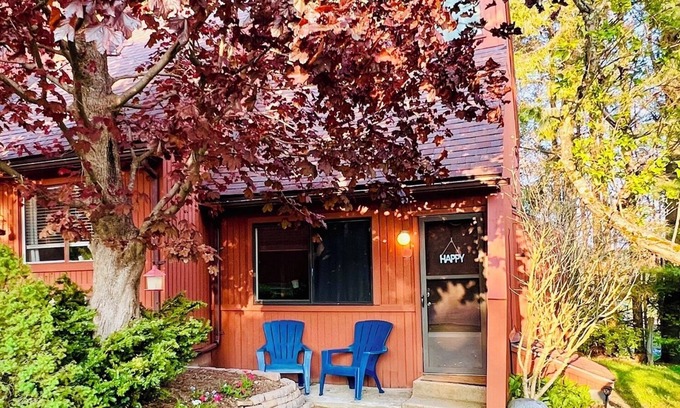 Canaan Valley Cabin | Charming Loft Cabin - Best Location Davis, Thomas, Canaan Valley. Cold AC