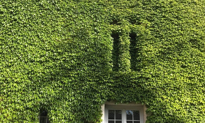 Artigues House | Chateau d Artigues
