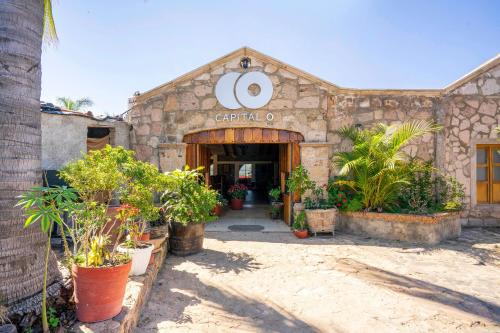 Tequila Hotel | Collection O Hotel Monte Agave