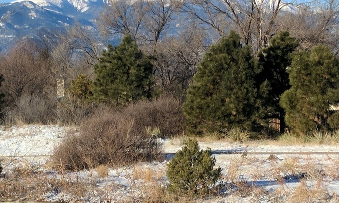 Village Seven House | Colorado Springs Getaway near AFA, hiking, shopping and walking trailnSTR-1308
