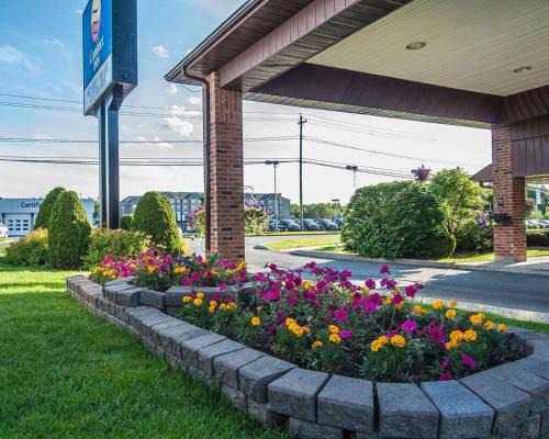 Fredericton Hotel | Comfort Inn