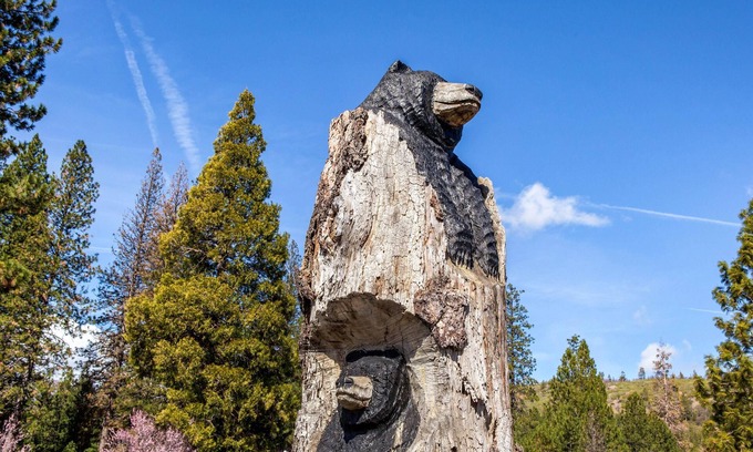 Weed Hotel | Comfort Inn Mount Shasta Area