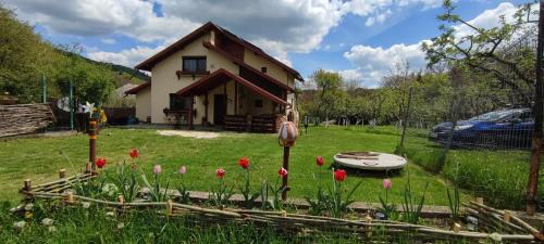 Bradulet House | Cottage in traditional village Bradulet, Arges county