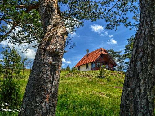Zlatibor House | Cottage Vodice