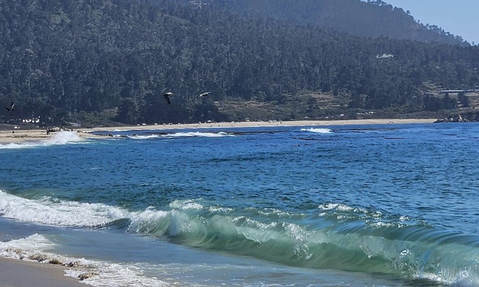 Prunedale House | Cozy, all new place with everything you need. Serene views, easy hwy access!