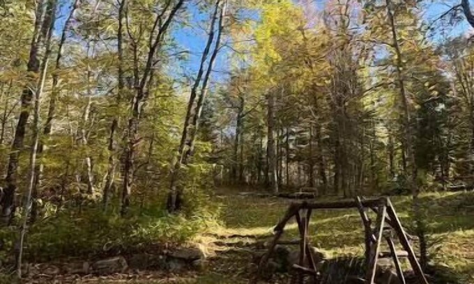 Backus Cabin | Cozy Cabin in Backus, MN