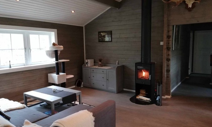 Trysil Cabin | Cozy Cabin Near Trysil