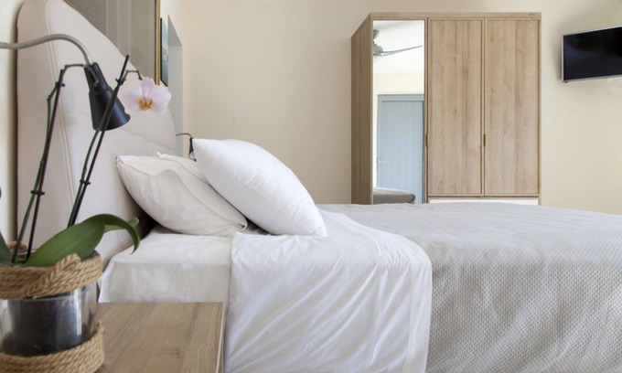 Evgiros Apartment | Deluxe suite with plunge pool