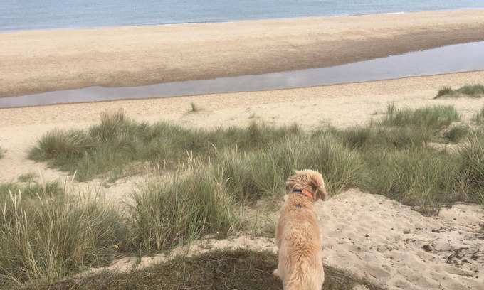 Winterton-on-Sea House | Dog friendly cottage moments from beautiful Winterton beach