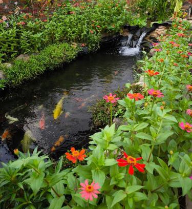 Vang Vieng Resort | Dok Champa Resort