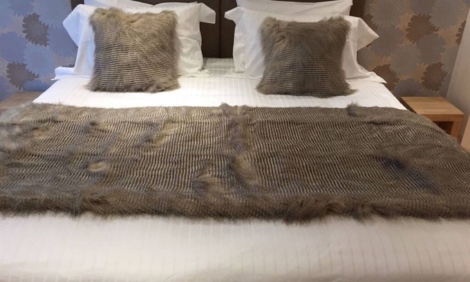 Glastonbury Bed & Breakfast | Double or Twin-Ensuite with Shower-The Spotted Owl