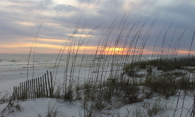 Inlet Beach House | Enjoy Inlet Beach on Private Beachfront