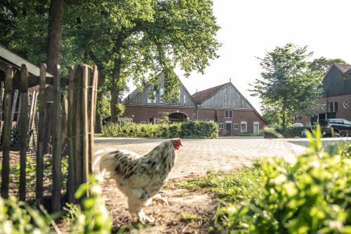 Lattrop House | Erfgoed Bossem