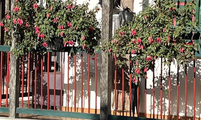 Salento Bed & Breakfast | Finca Campestre La Adelita