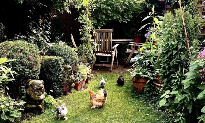 Middenmeer House | Fleur d'Amsterdam, Safe, Clean, Cosy and Happy! 2 to 4 persons