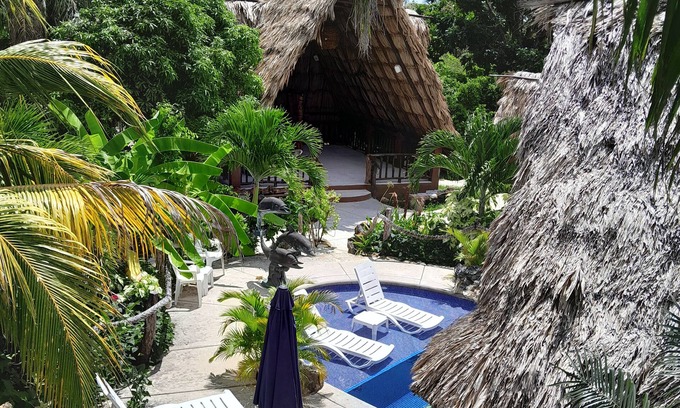 Ladyville Resort | GECKO "LOFT" BUNGALOW Boutique Resort, Awesome Pool! FREE Int'l Airport Shuttle