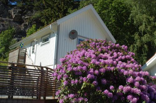 Ljungskile House | Grottstugan