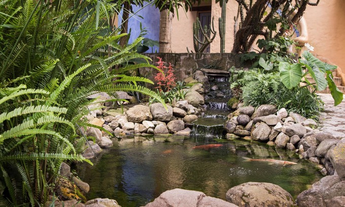 Del Cerrillo Hotel | Guayaba Inn Boutique Hotel