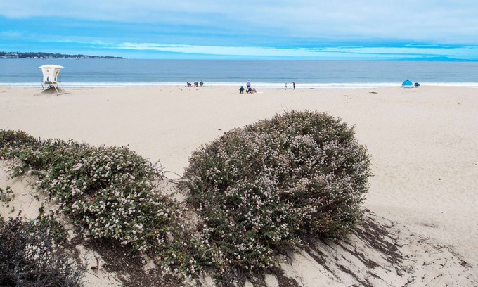 Monterey Hotel | Hampton Inn Monterey