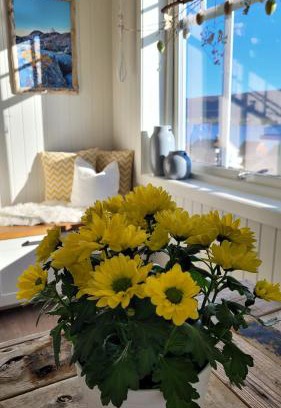 Haram Apartment | Haramsøy Holiday Apartment- Island Life North