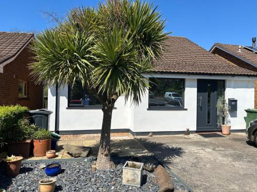 Braunton House | Hazel Heights, Braunton