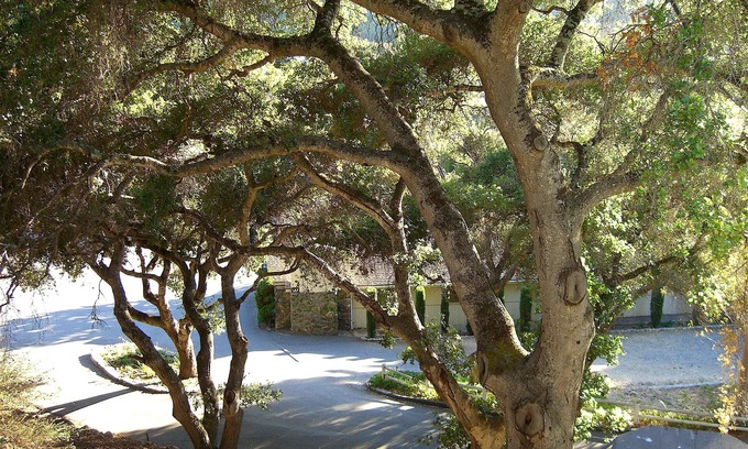 Carmel Valley Hotel | Hidden Valley Inn
