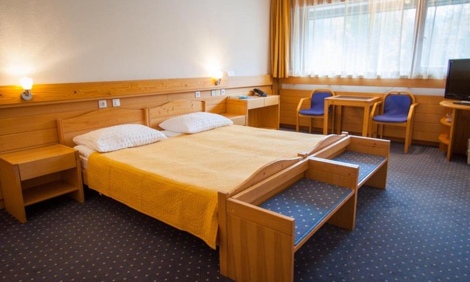 Gozd Martuljek Hotel | Hotel Špik