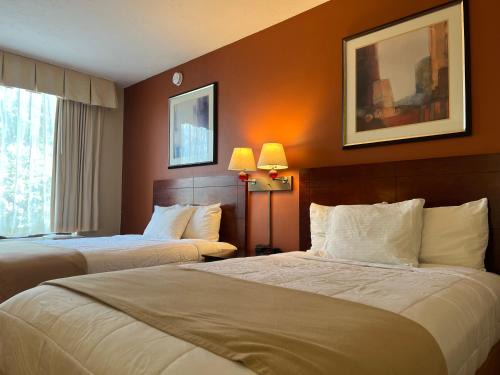 Commonwealth Hotel | Hotel Boston